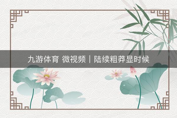 九游体育 微视频｜陆续粗莽显时候
