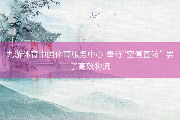 九游体育中国体育服务中心 奉行“空侧直转” 罢了高效物流
