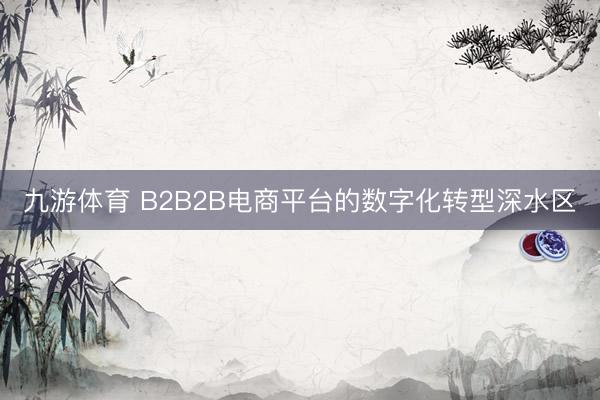 九游体育 B2B2B电商平台的数字化转型深水区