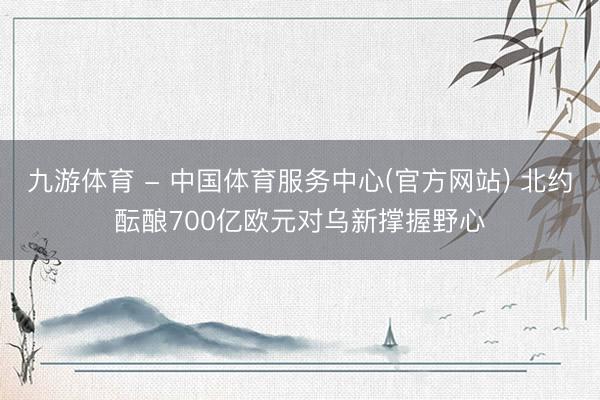 九游体育 - 中国体育服务中心(官方网站) 北约酝酿700亿欧元对乌新撑握野心